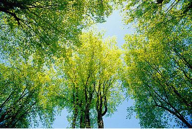 女子贴身藏156张《怪物猎人：荒野》光盘入境被查获